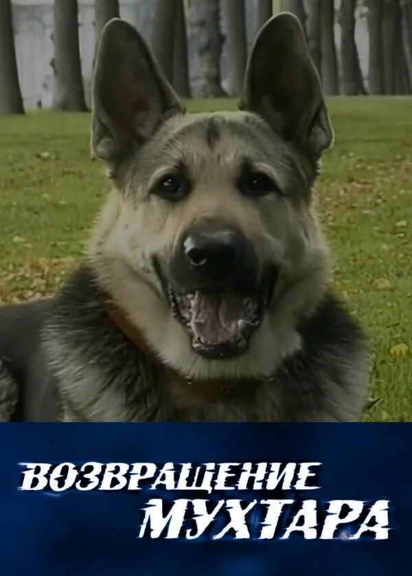 Возвращение Мухтара сериал 2003 смотреть онлайн бесплатно в хорошем качестве HD